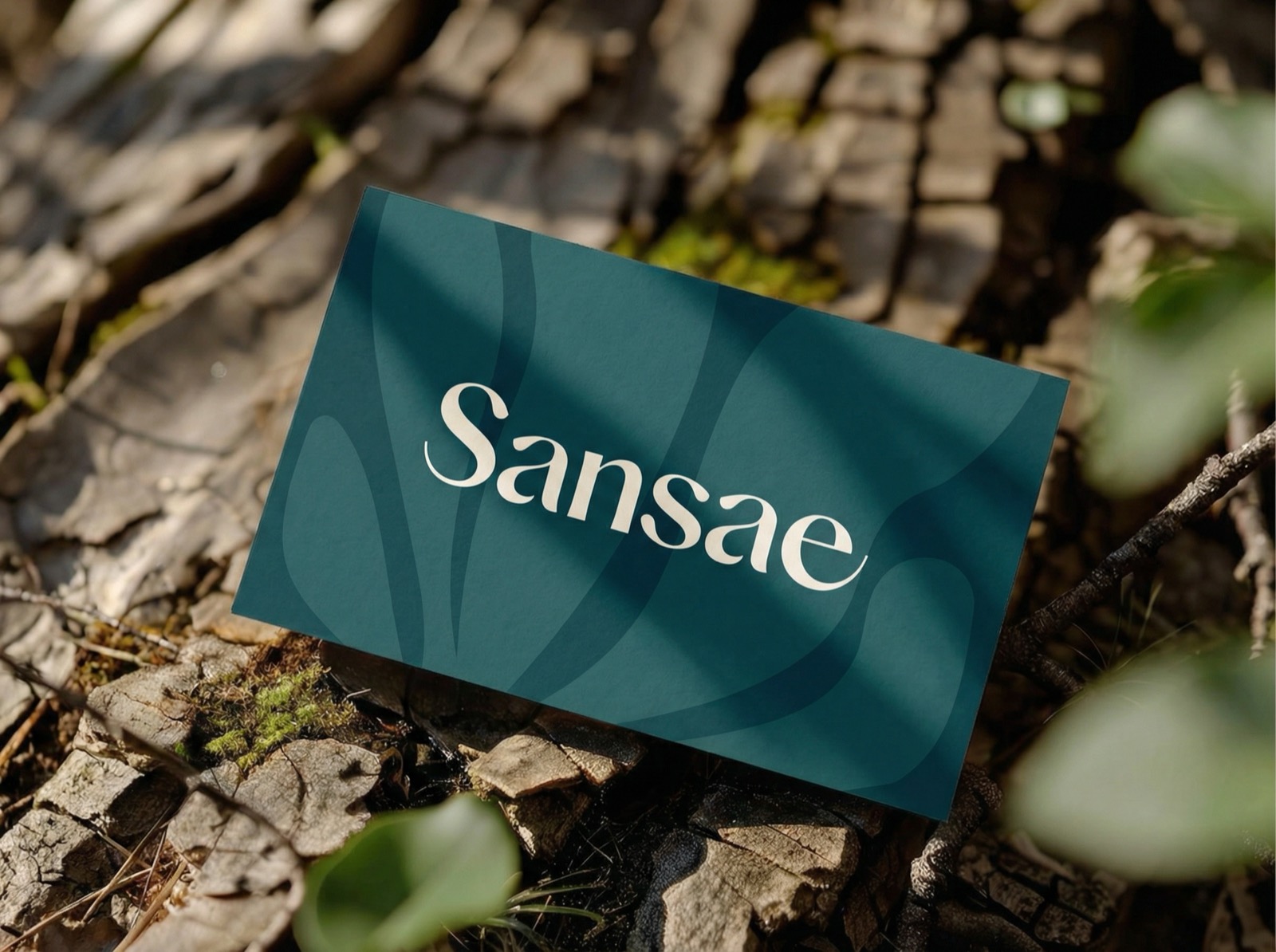Sansae · visual